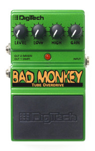Bad Monkey