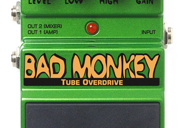 Bad Monkey